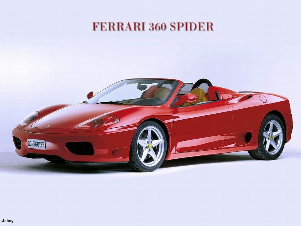 spider.jpg